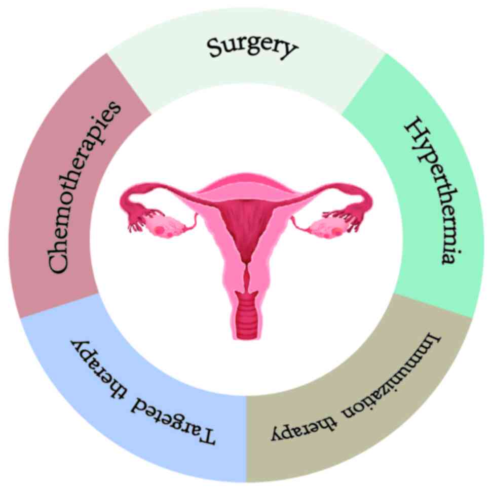 Eierstokkanker behandelingen